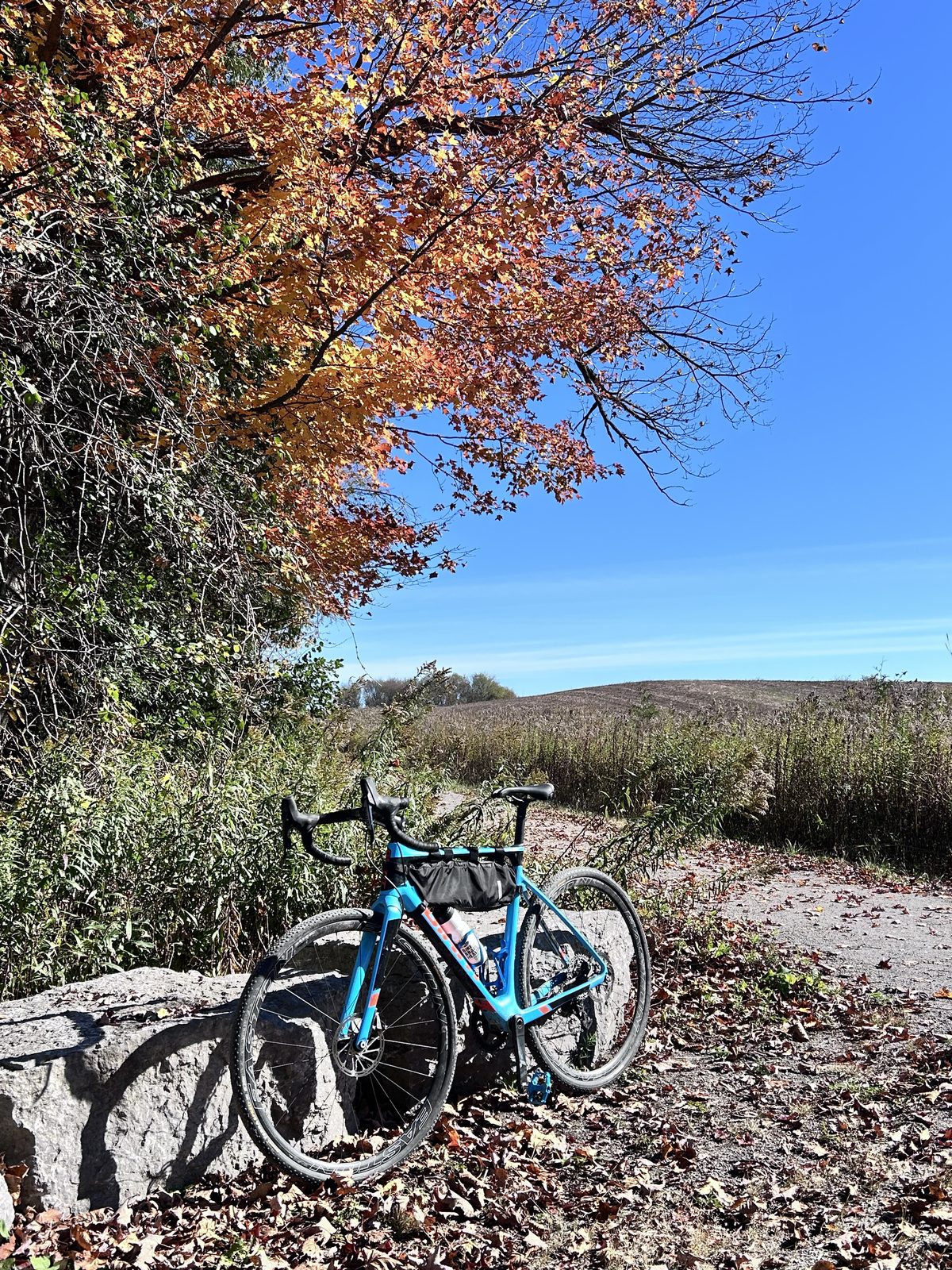 A blue gravel bike leaning on a low wall of fieldstone and granite under a red-orange maple, rolling fields falling away behind under blue sky