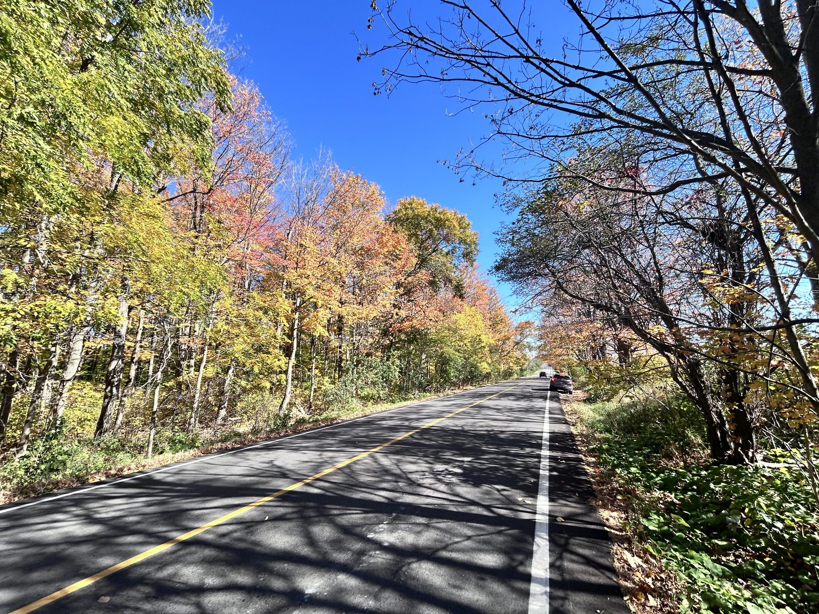 A paved two-lane road with a yellow centre line running between tall maples turning yellow, orange and red, dappled shadow across the asphalt