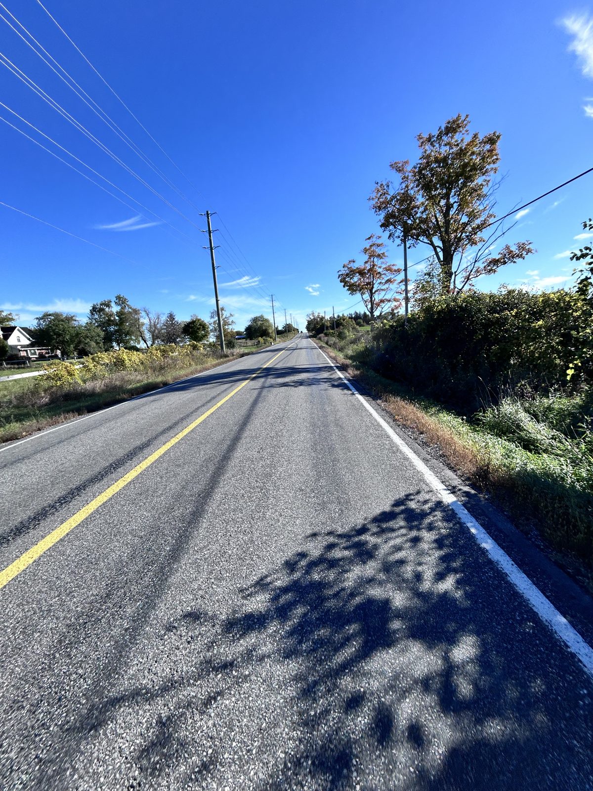 Handlebar-height view down an empty two-lane rural road, yellow centre line, hydro poles marching off to the horizon, maples starting to turn on the right