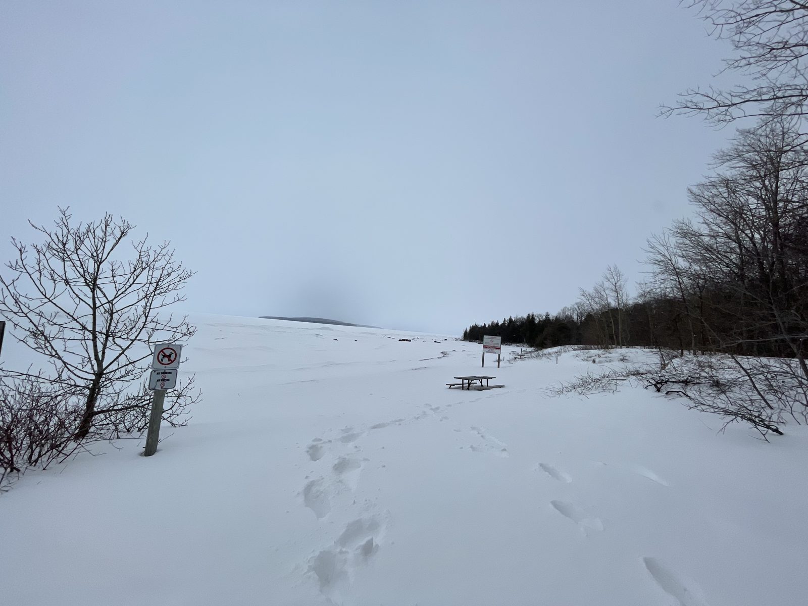 Footprints in deep snow leading to a picnic table on the frozen Georgian Bay shore